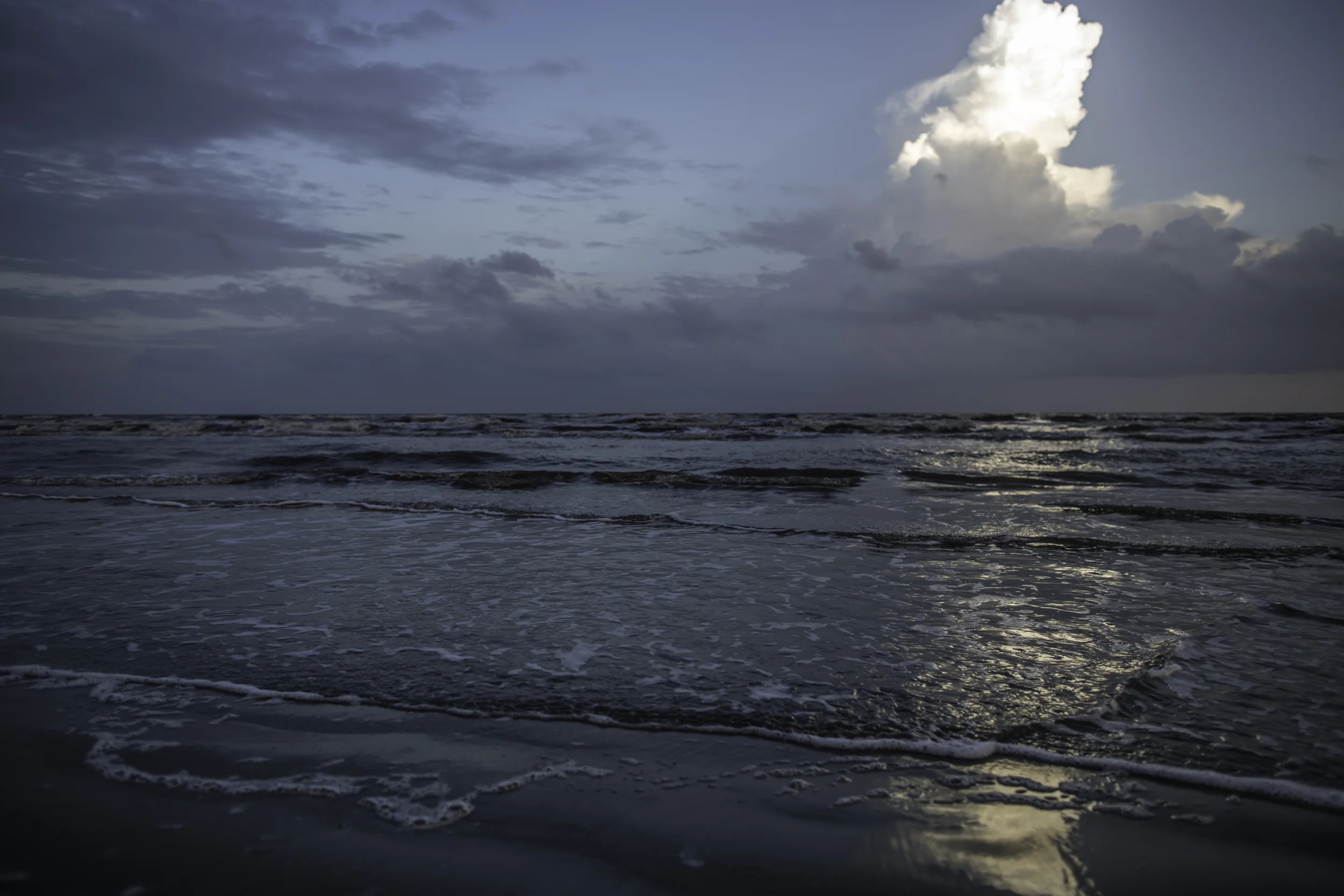 _D0A6088.jpg