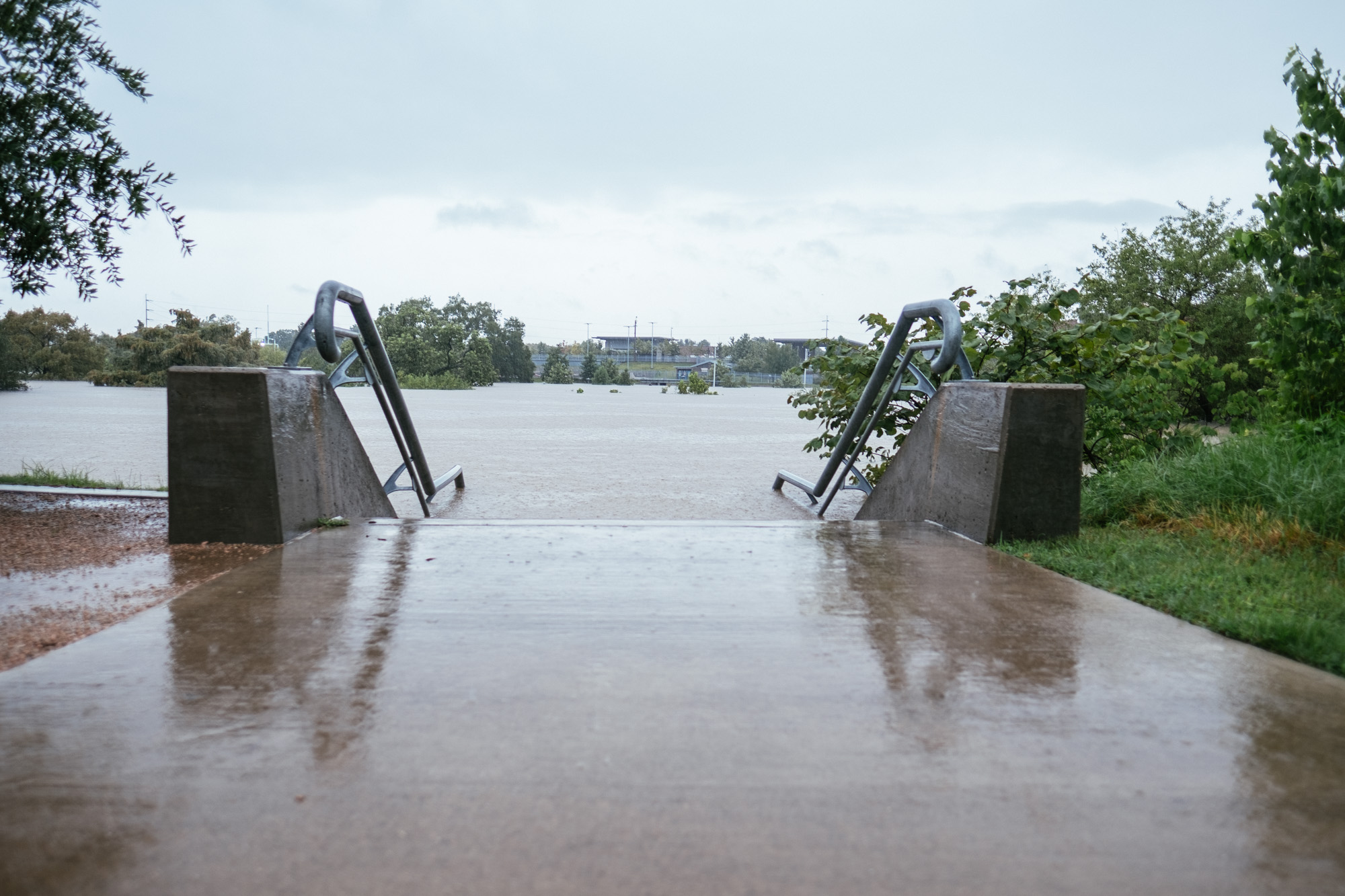 harvey-8.jpg