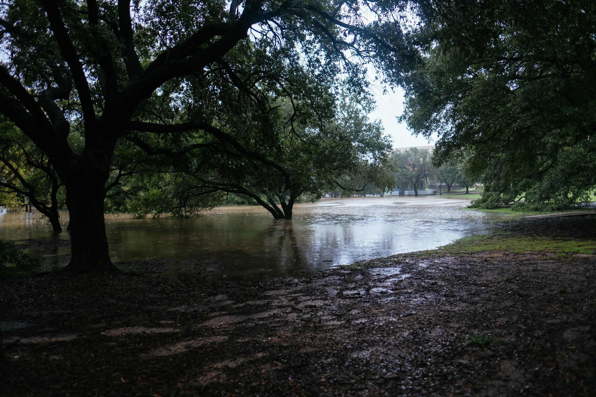 harvey-7.jpg