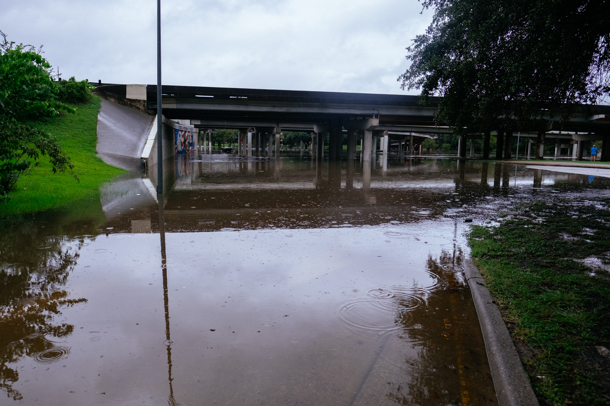 harvey-4.jpg