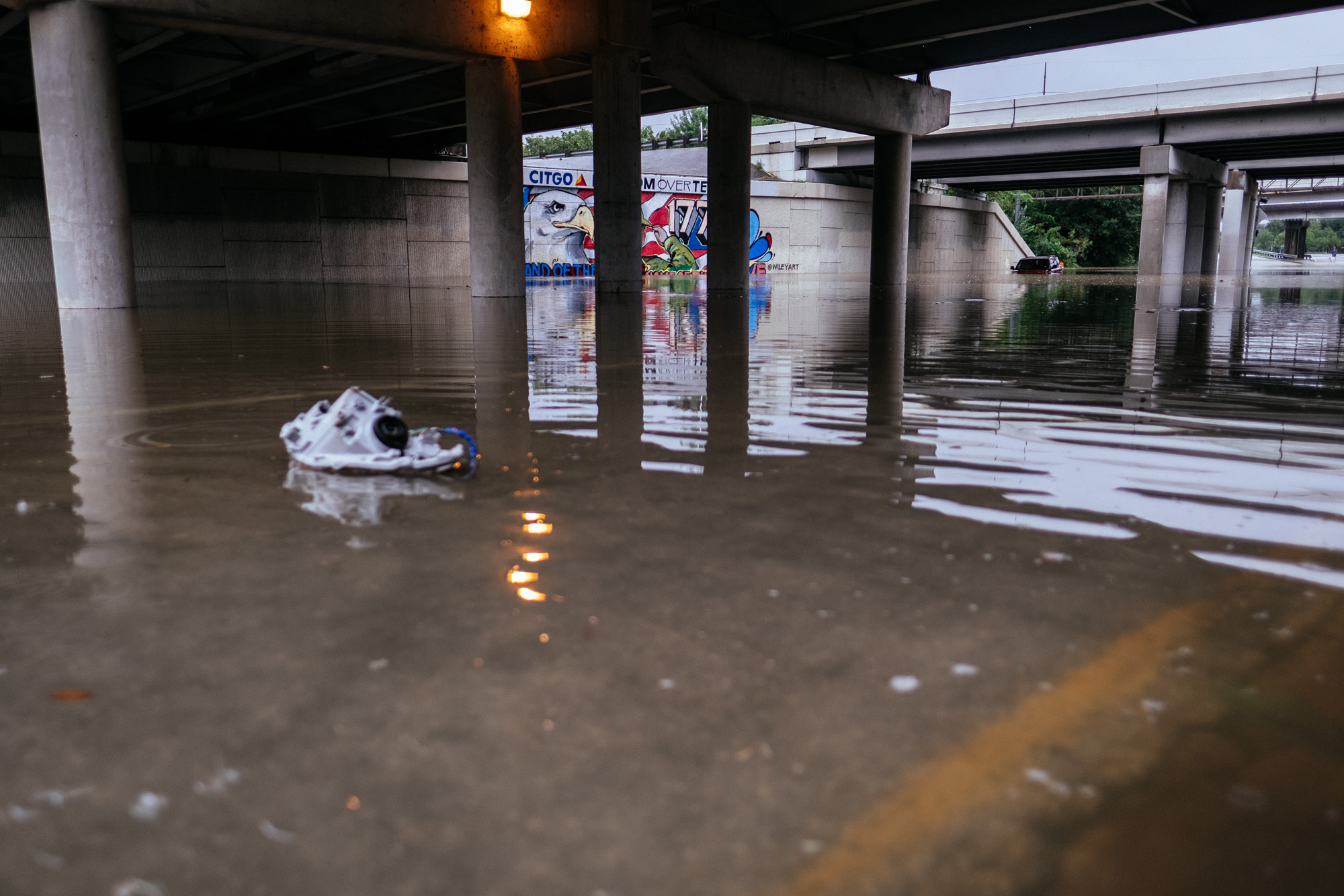 harvey-6.jpg