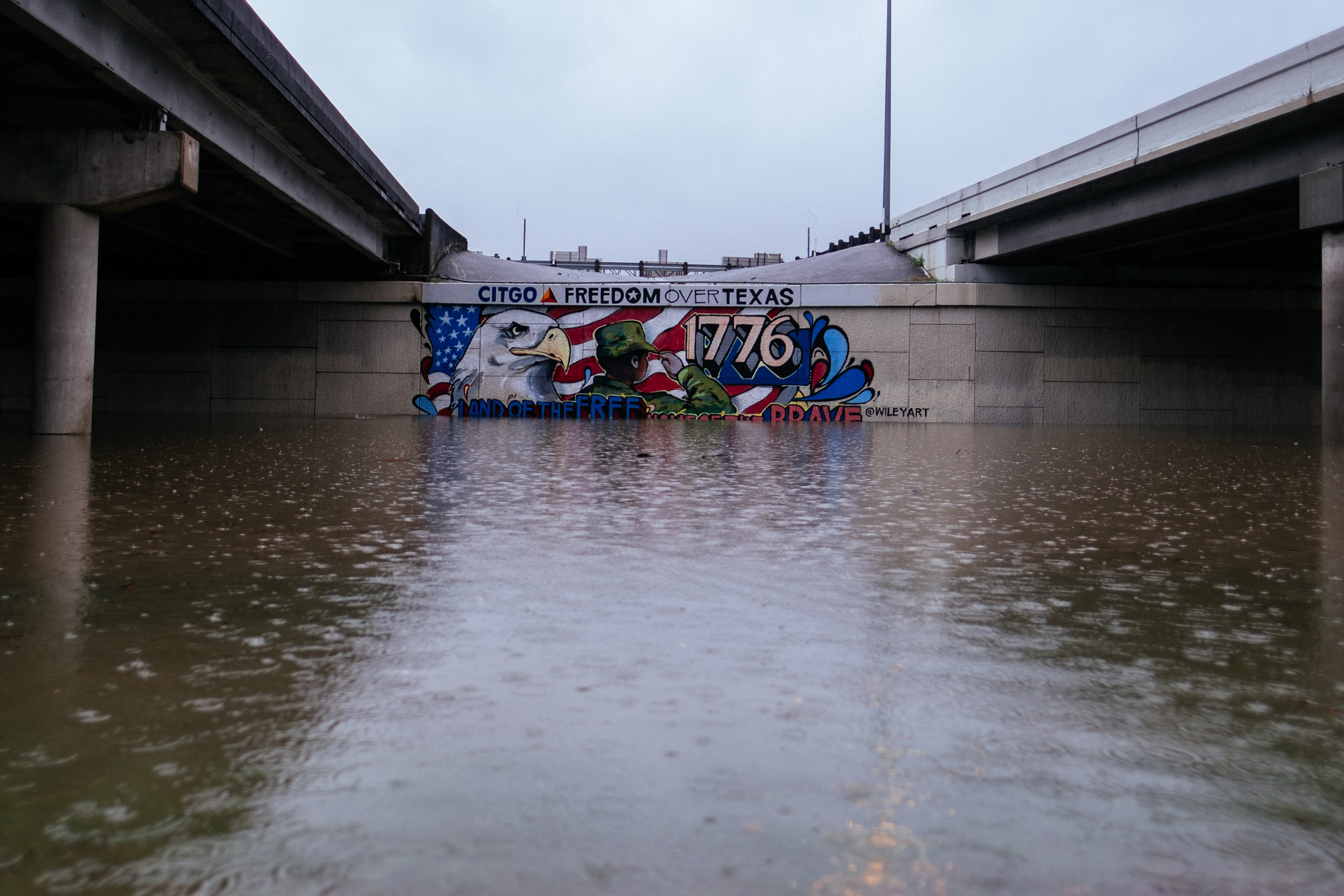 harvey-5.jpg