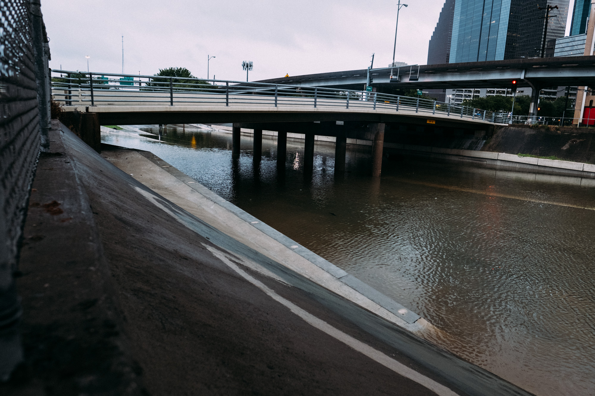 harvey-2.jpg
