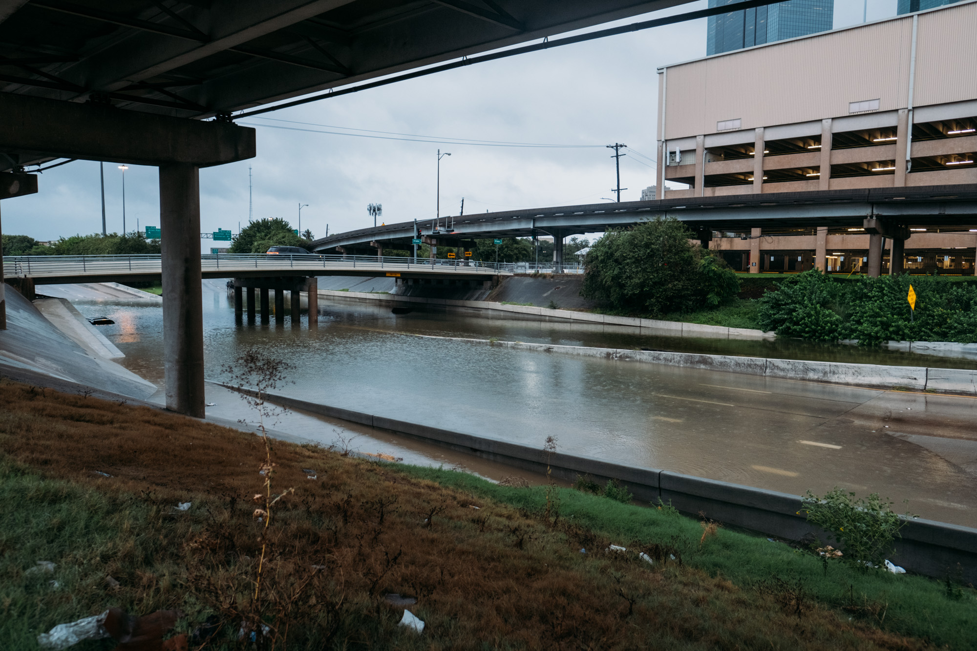 harvey.jpg