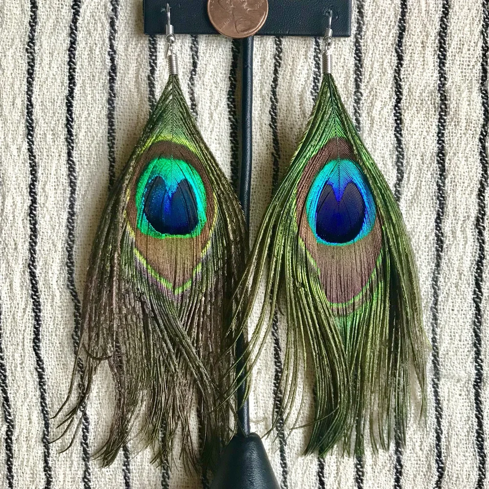 Peacock Feather Earrings The Rock And Art Shop