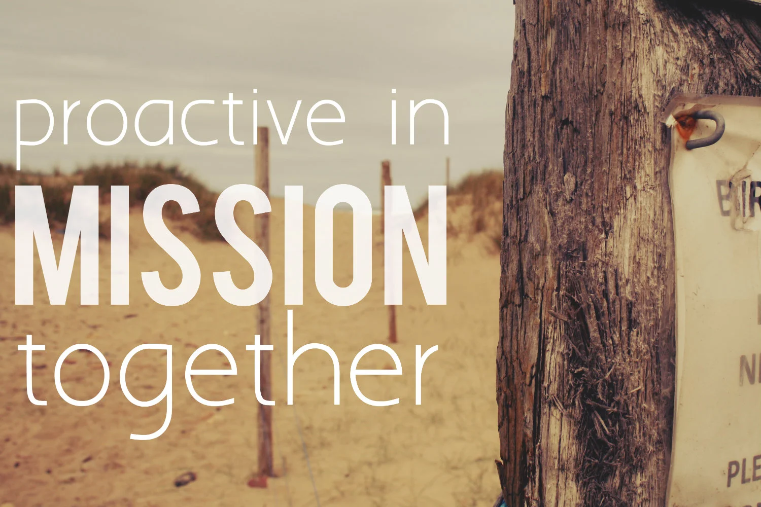 Proactive in Mission Together