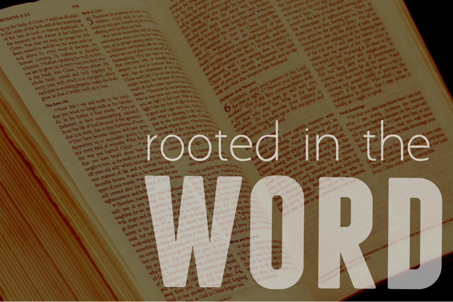 Rooted in the Word