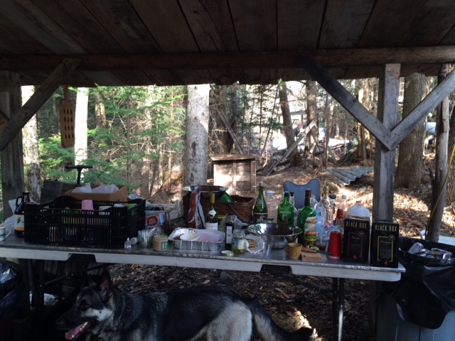 Potluck Table