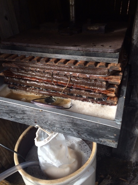 After traveling the conveyer belt, the apples end up in the grinder and get turned into a mash. The mash drops down onto a stainless steel table, wrapped in burlap/canvas. and put into a stack of four with wooden slats in between. Then a hydraulic pump presses a steel plate down onto the stack of mash juicing it. The juice drains through a filter into a 15 gallon holding tank.