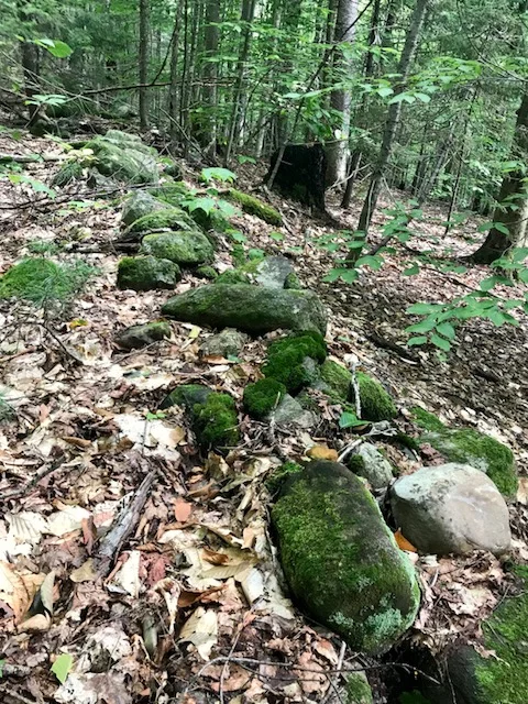 A plow terrace on the left of the stone wall