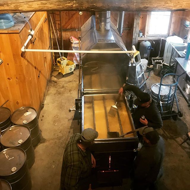 Can’t stop now. These last couple boils are pushing us into a pretty good season. Progressed into Very Dark territory. #bobosmountainsugar #sugaringlife #cooked