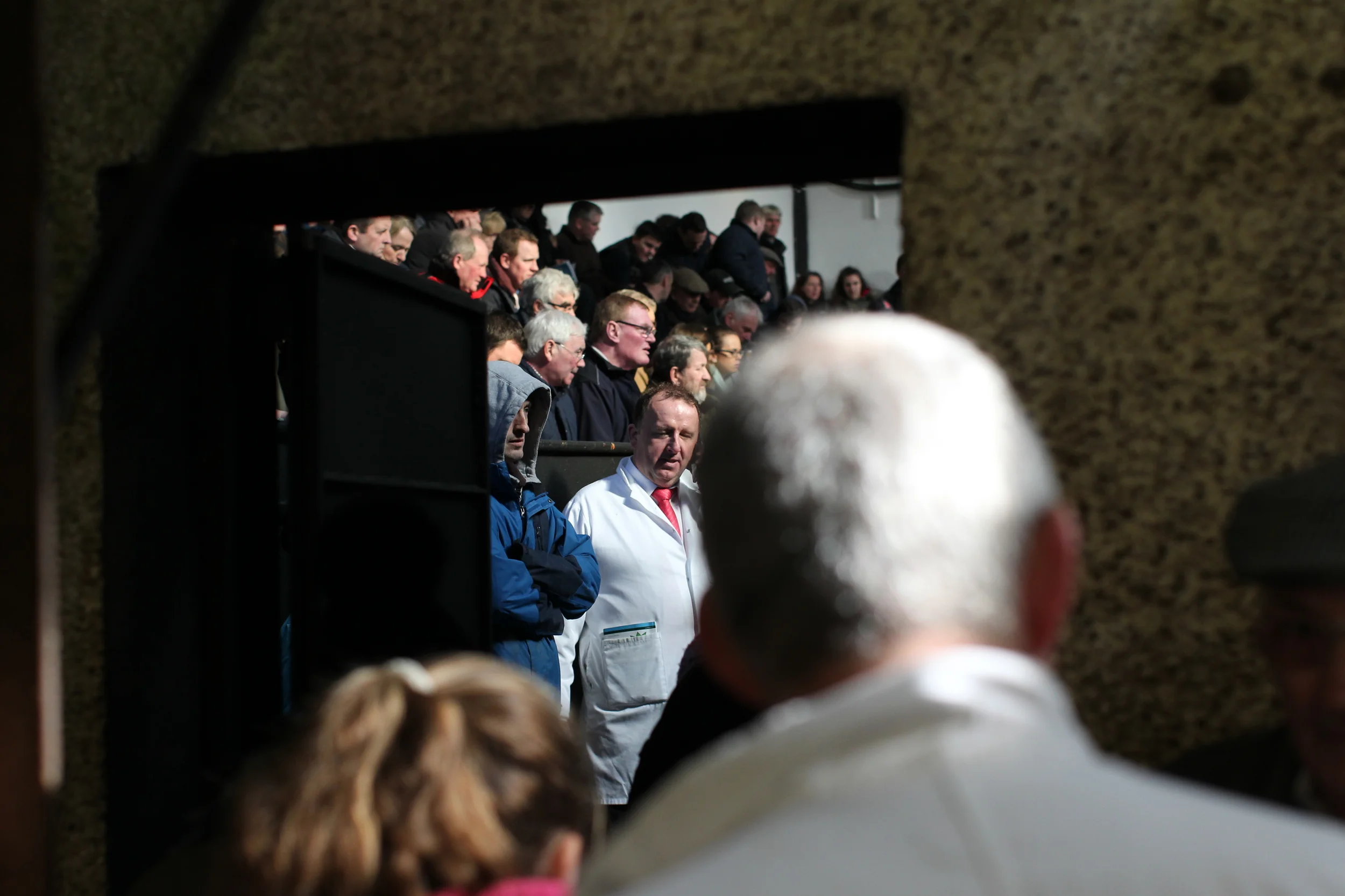 Charolais Show Elphin 031.JPG
