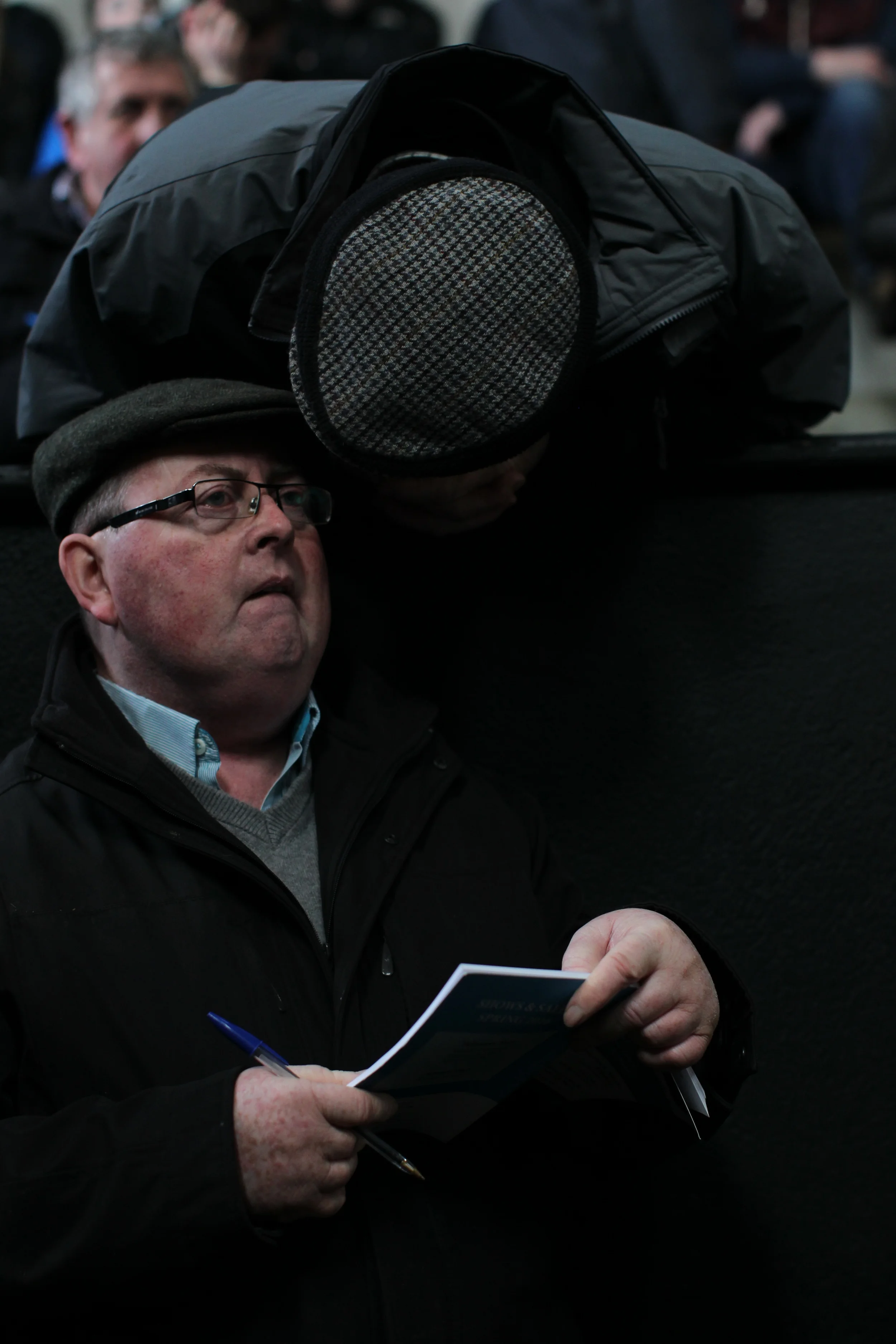 Charolais Show Elphin 042.JPG
