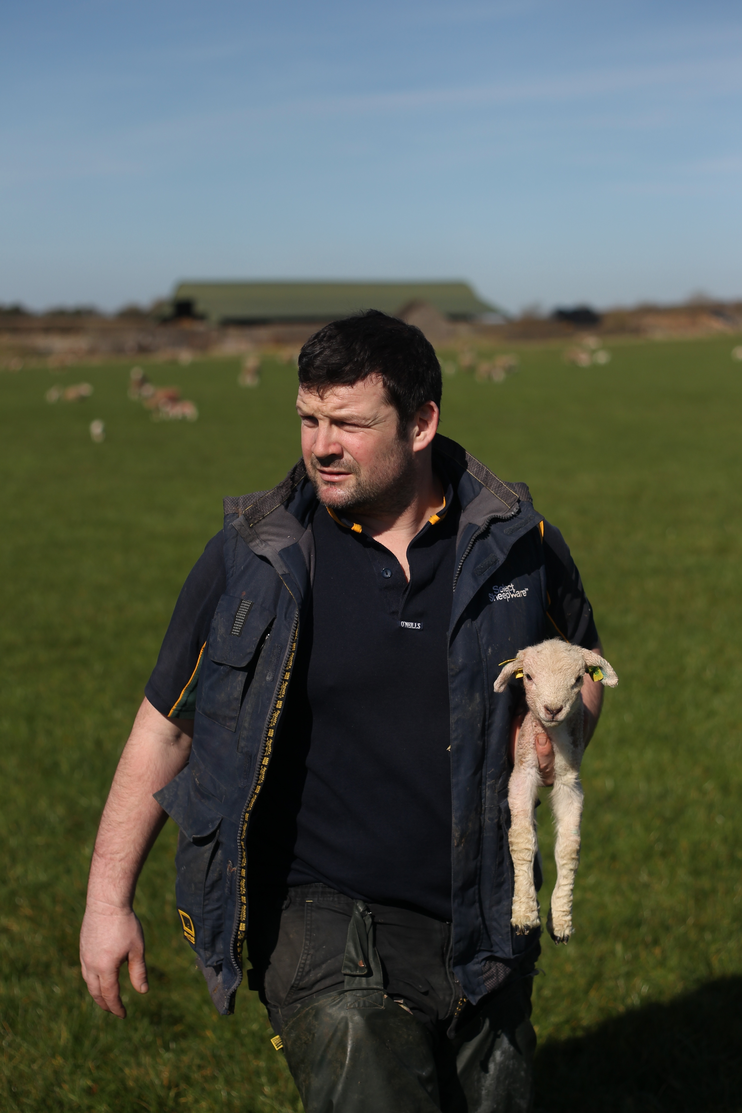 Lambing Nicholson Johnstown-077.JPG