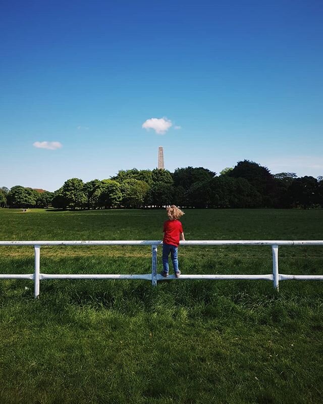 The Phoenix Park 》5km 》Pimlico
&bull;
#FlattenTheCurve 
#MassIsolationProject 
#DublinStreets 
#MassIsolationProjectIRL