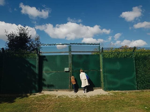 The Phoenix Park, Dublin.
&bull;
#MassIsolationProject 
#MassIsolationProjectIRL 
#Ireland