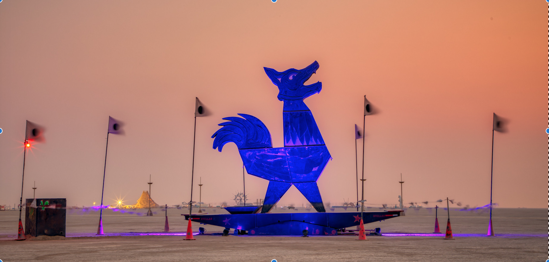 Jacal cock @bman 2018