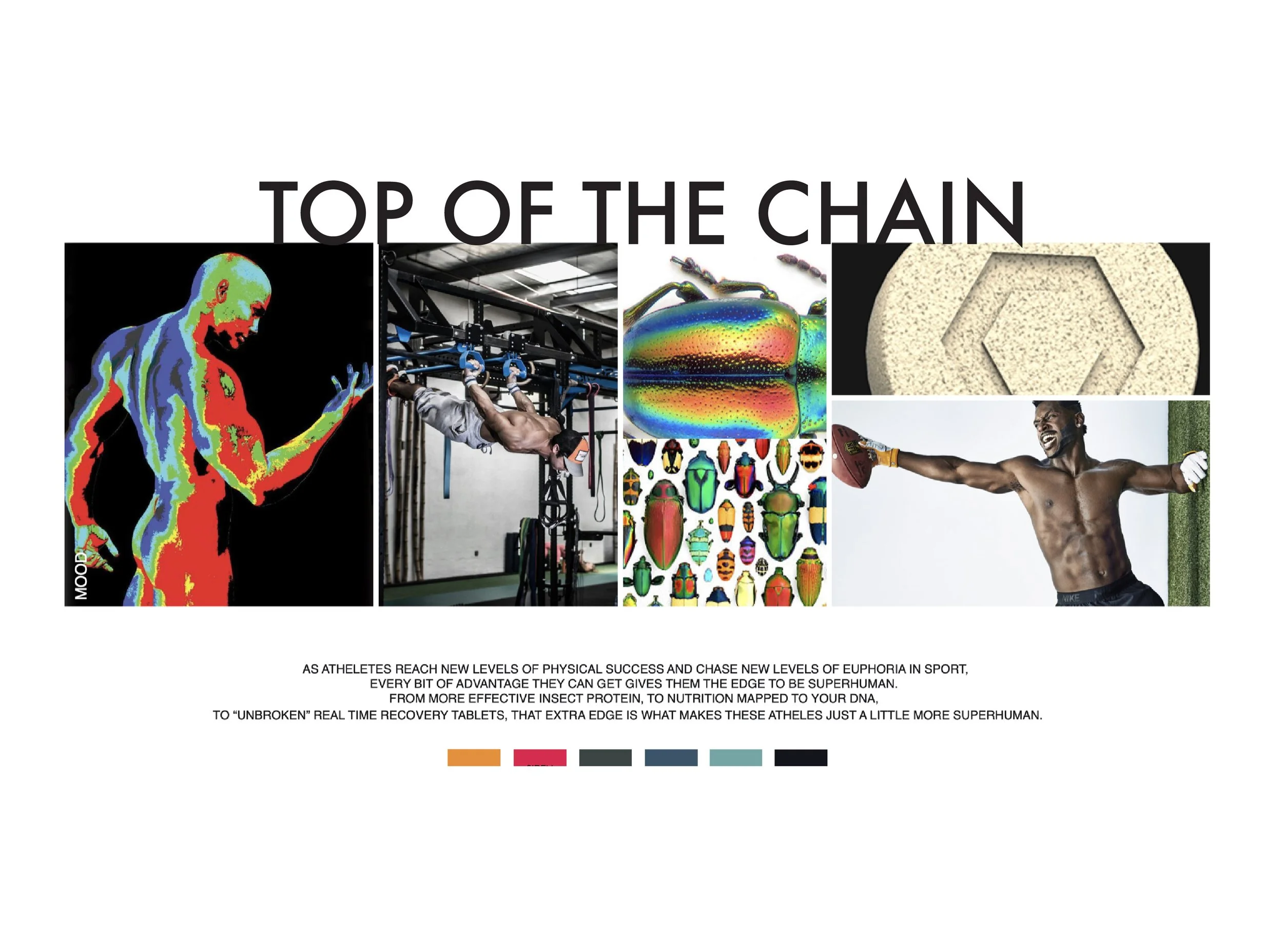 top of the chain mood board-01-01.jpg