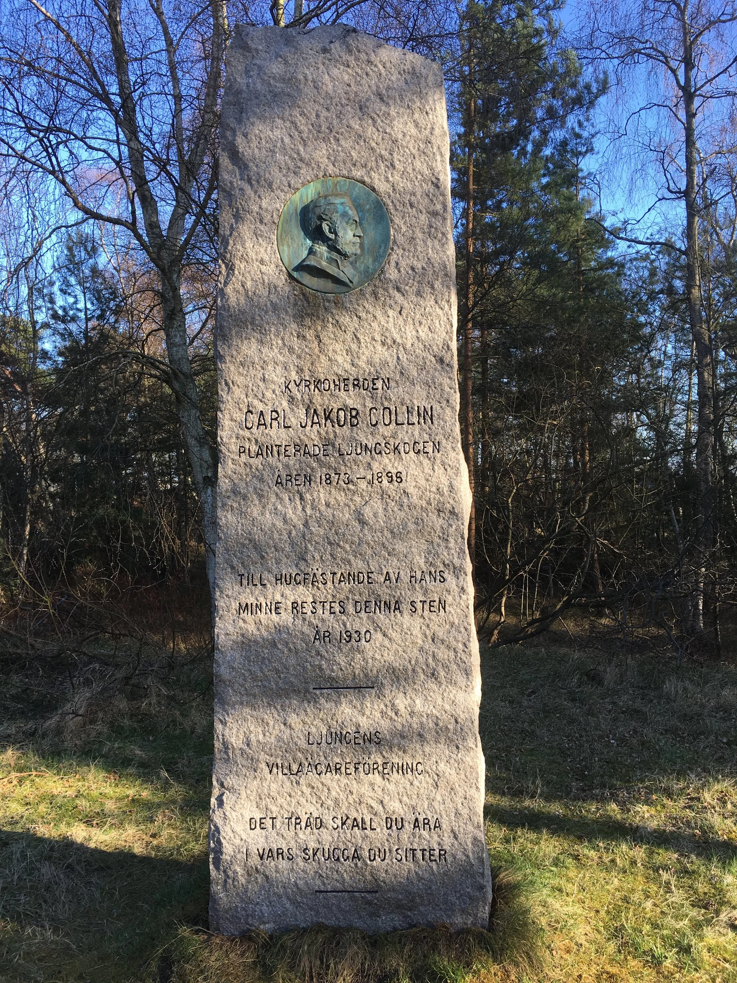 Collin efter ren.JPG