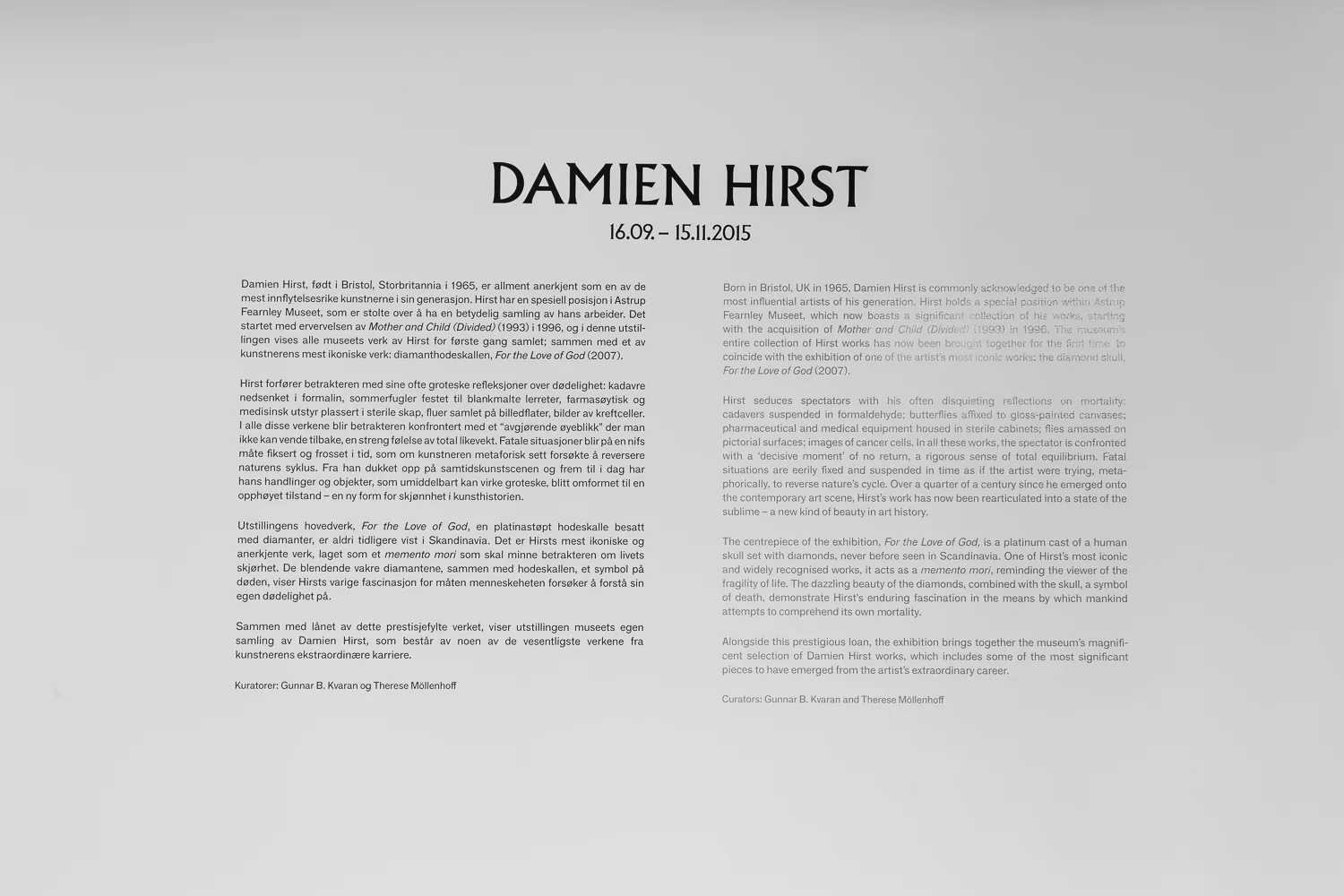 Damien Hirst - Exhibition Text