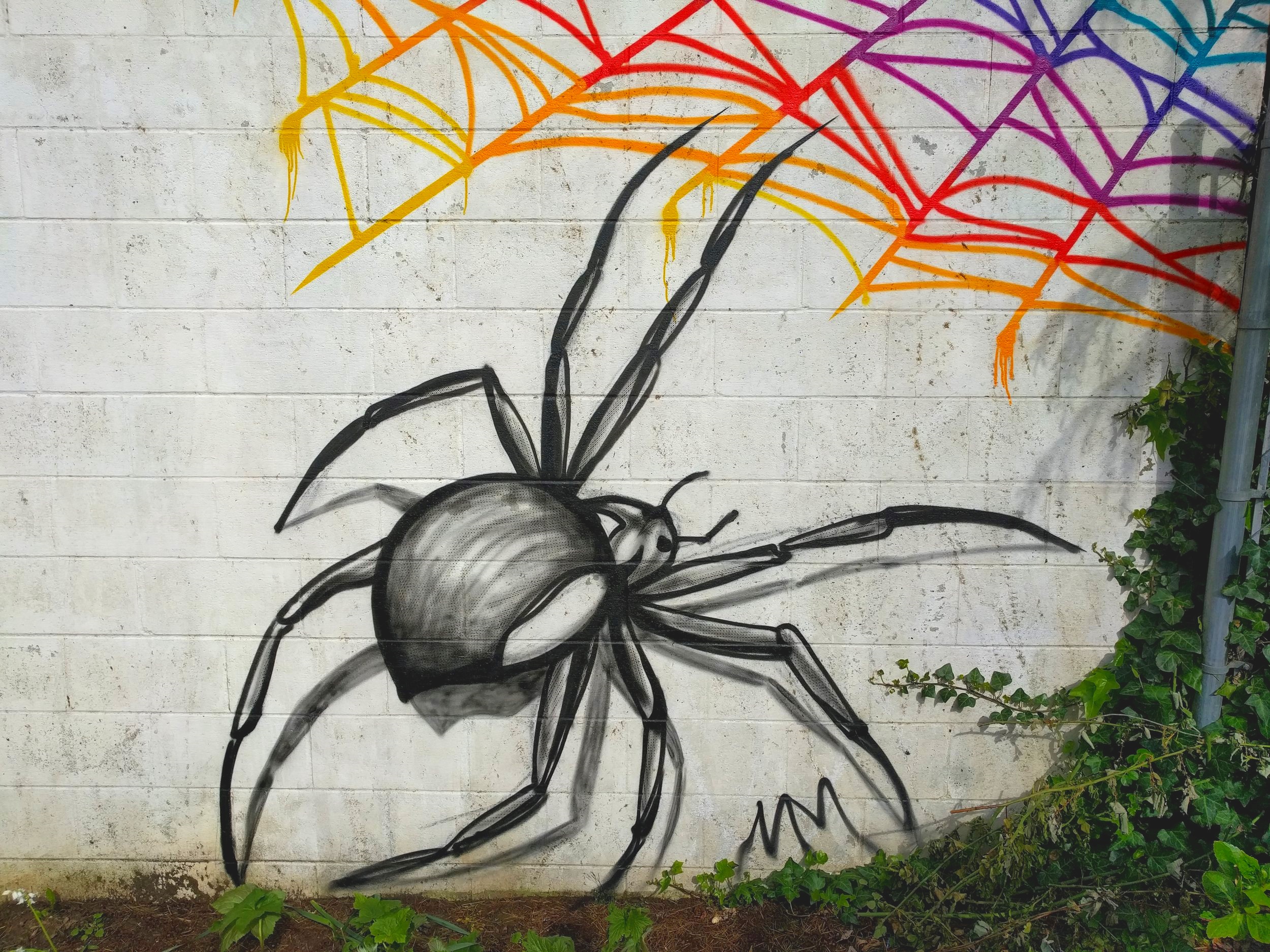 Backyard Bug Mural: Spider Detail