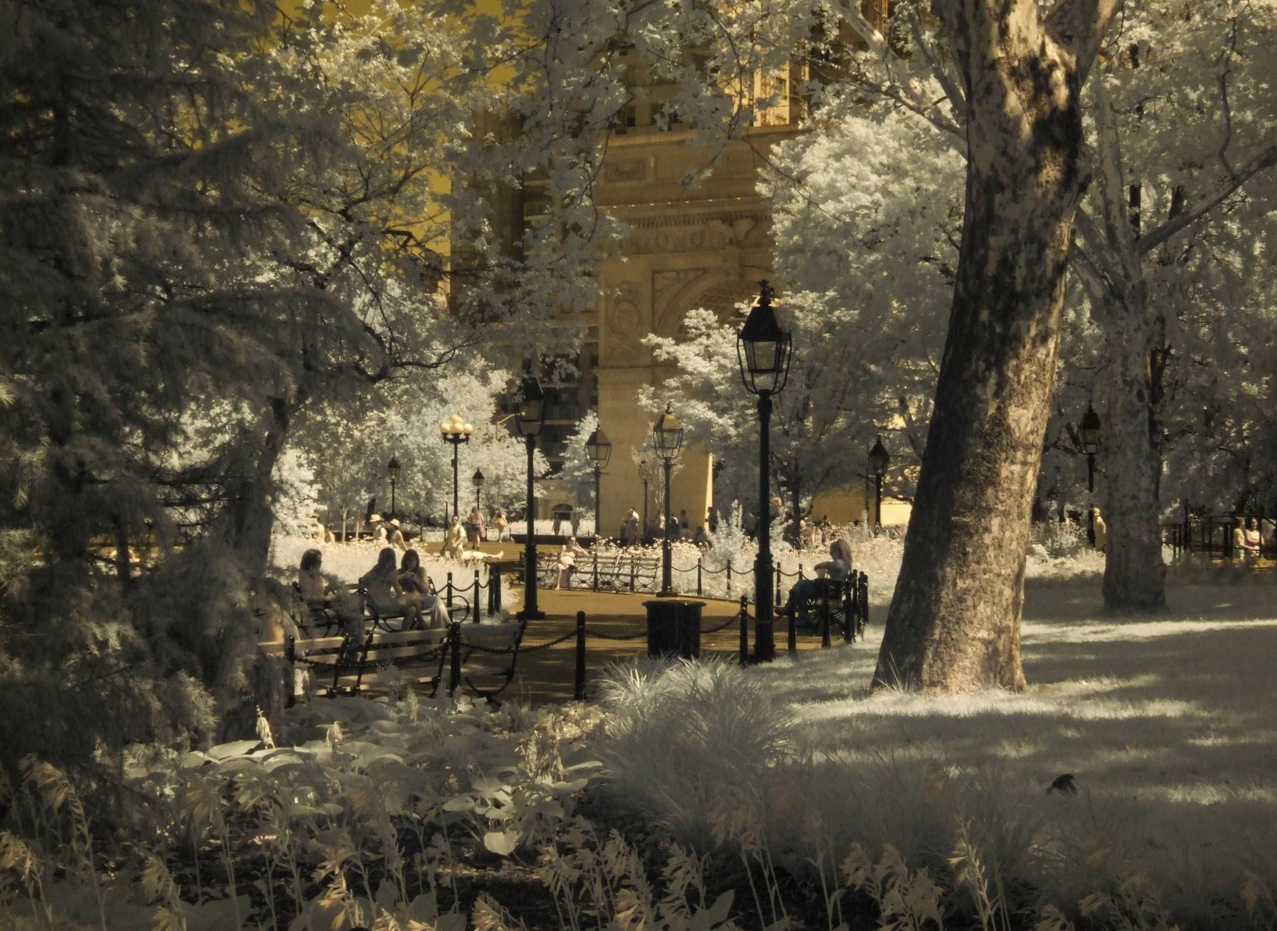 John Whittaker — Carter Burden Gallery