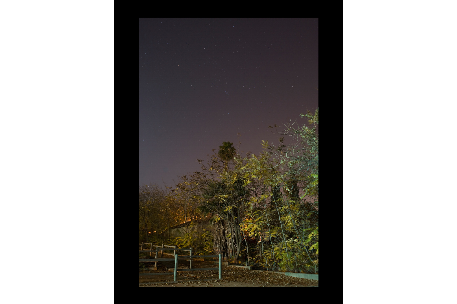 #7637 Brush and Fence, CA, 2010, 26"x36"