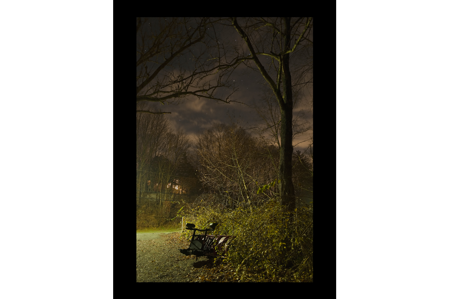 #8031 Plow in Bushes, Bedford, NY, 2011, 26"x36"