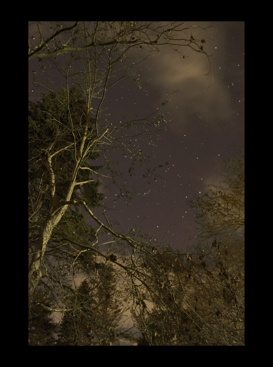 #8023 Trees, Stars, Clouds, Bedford, NY, 2011, 44"x60"