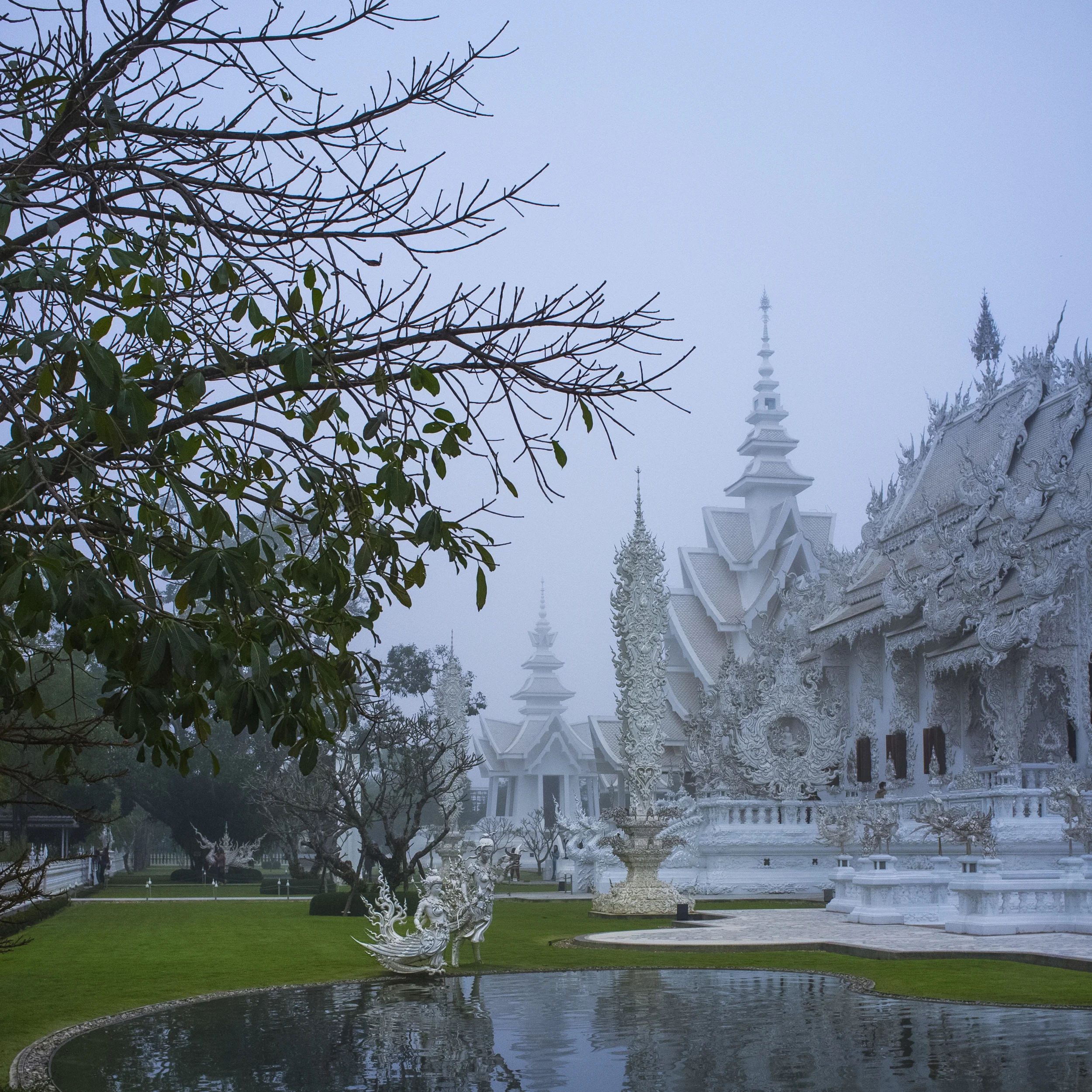 Petitt_Thailand_24x24.jpg