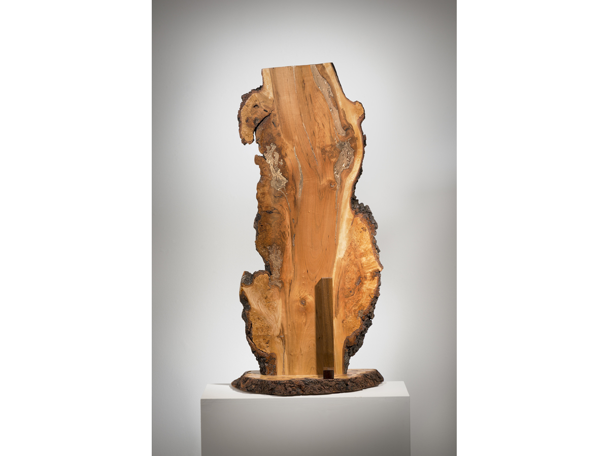 Imagination, burled maple and gold paint, 37" x 18" x 8", 2015