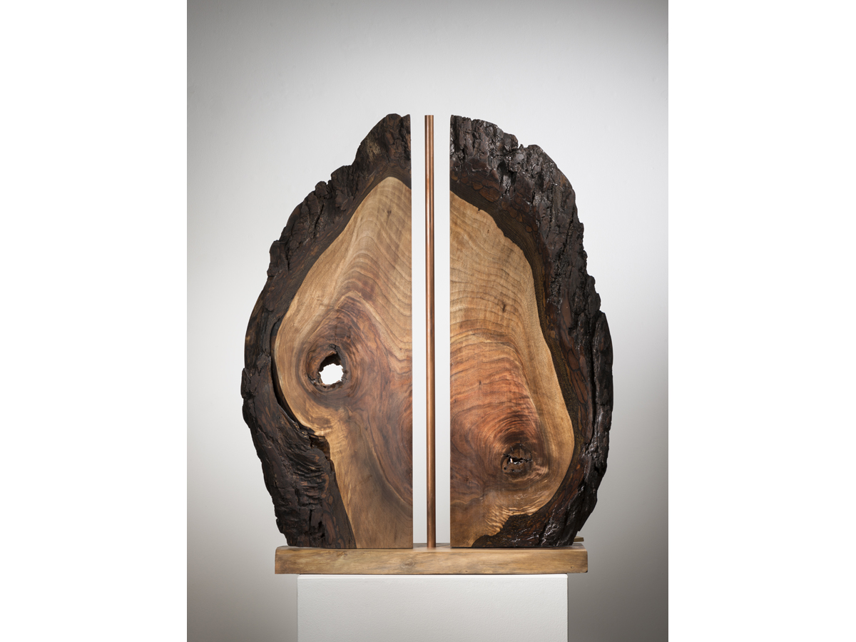 Beauty and the Beast, black walnut and copper, 31" x 21" x 8", 2015