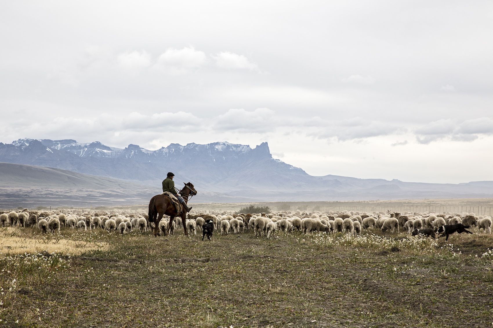 Jay Ben Adlersberg End of the Andes Color print, edition of 25 25” x 17.25”, 2014