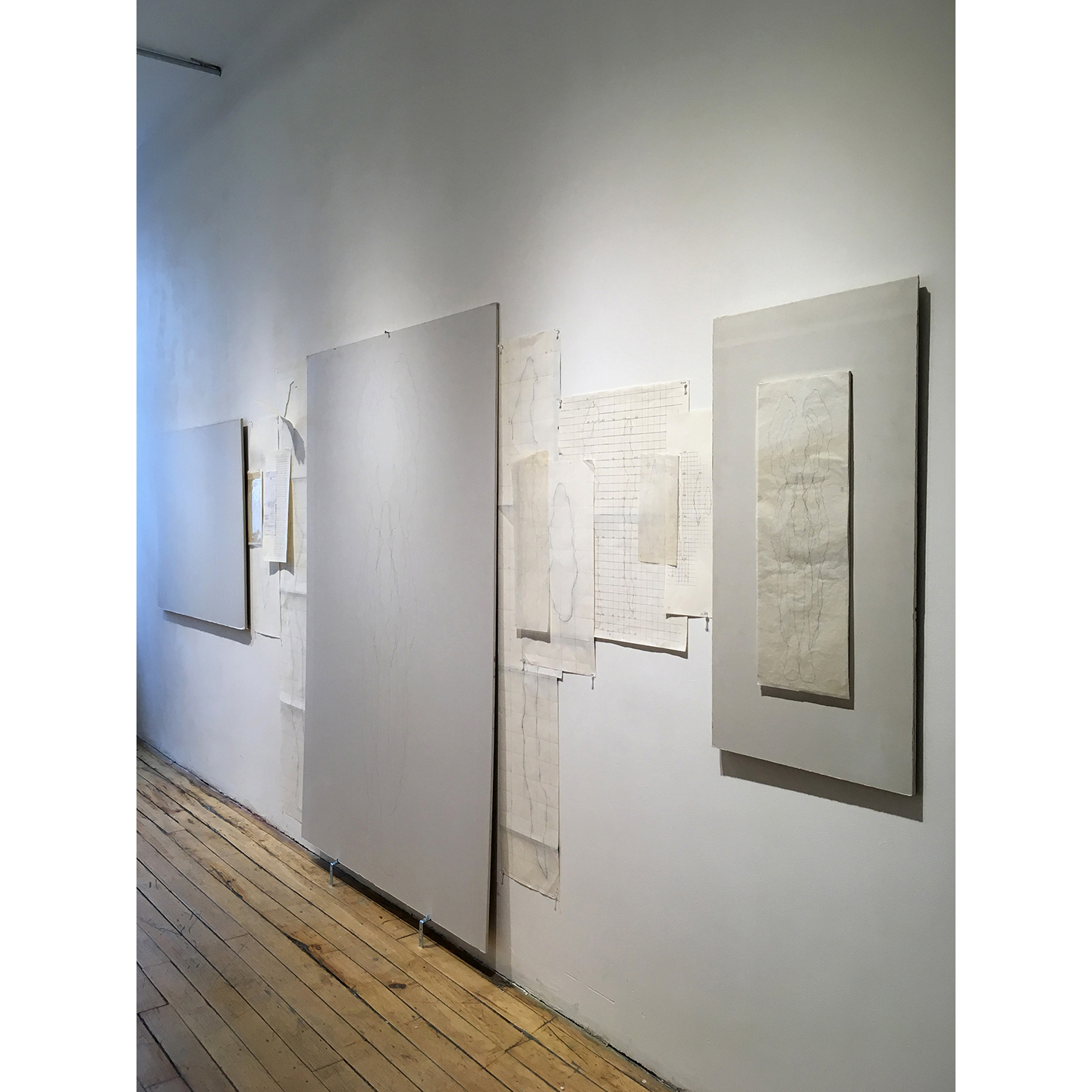 Installation View of The Organizing Principal/Evolution, 2017