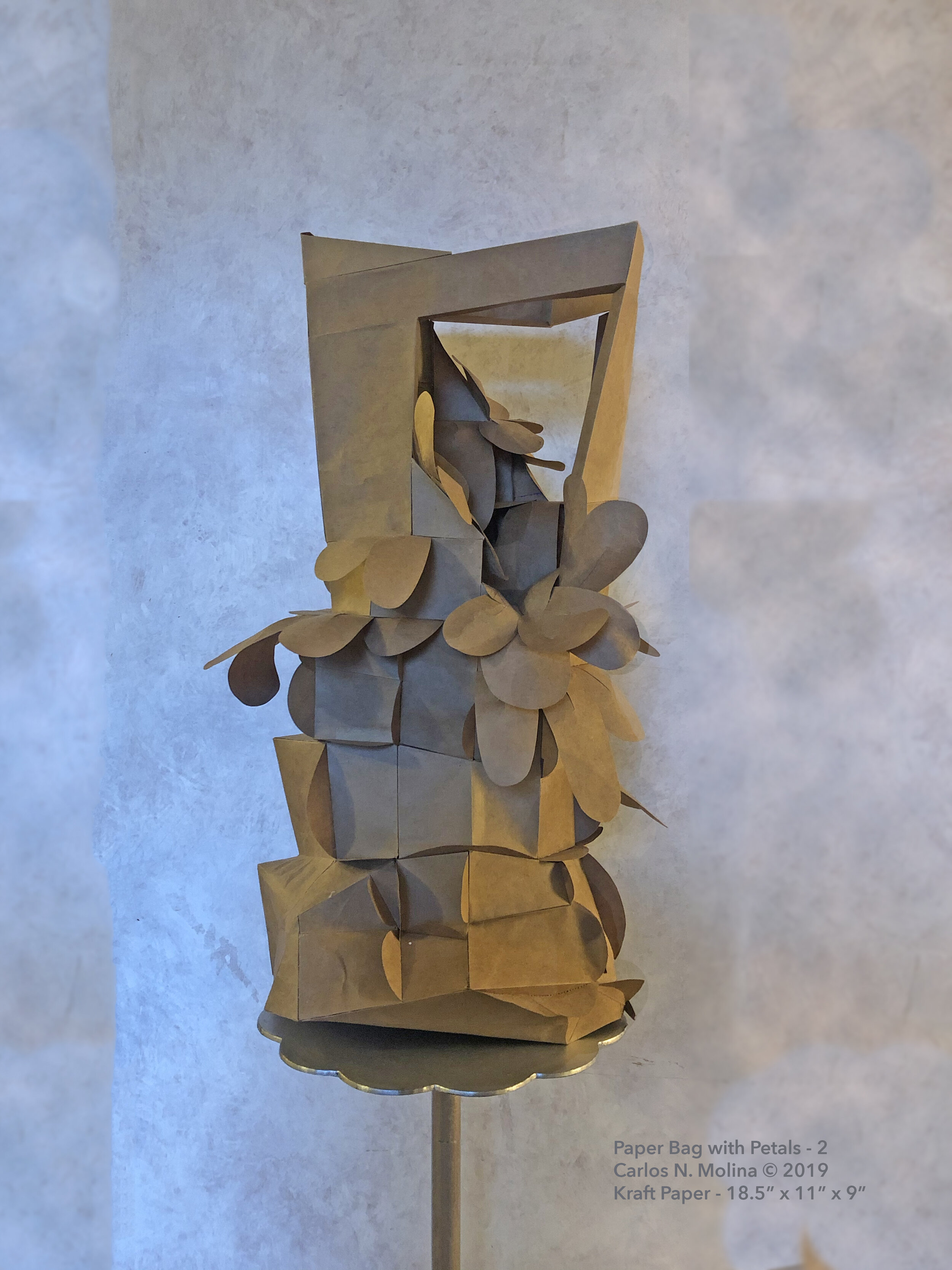 Carlos N Molina, New Paper Bags_2510.jpg