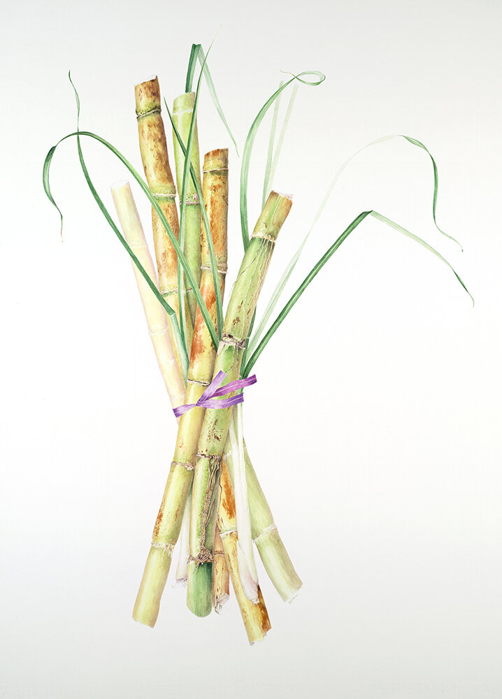 Rose Marie James - Market Picks (sugar cane and lemon grass) (Copy)