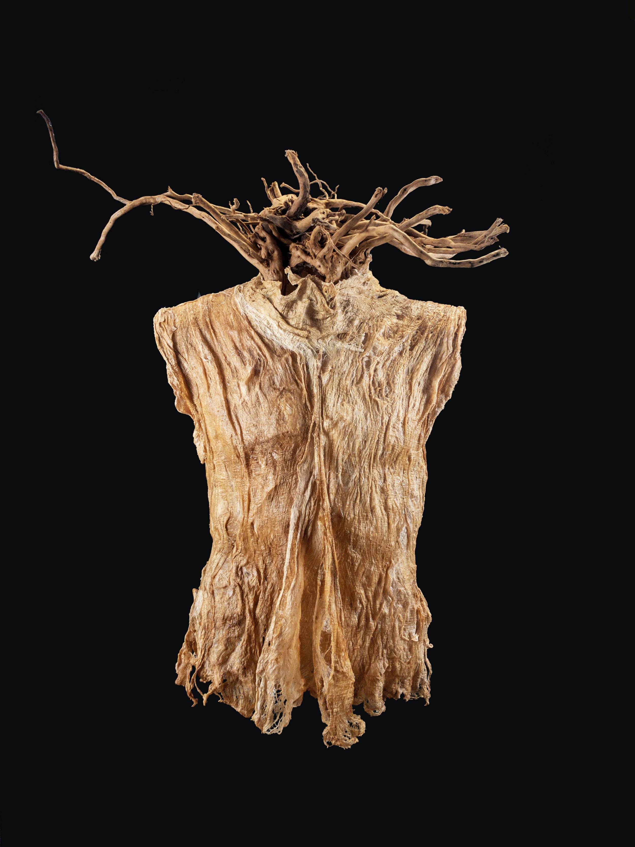 Frances Vye Wilson_Medusa_2019_Cambium fiber from Asian mulberry tree, root_35in x 26in x 20in.jpg