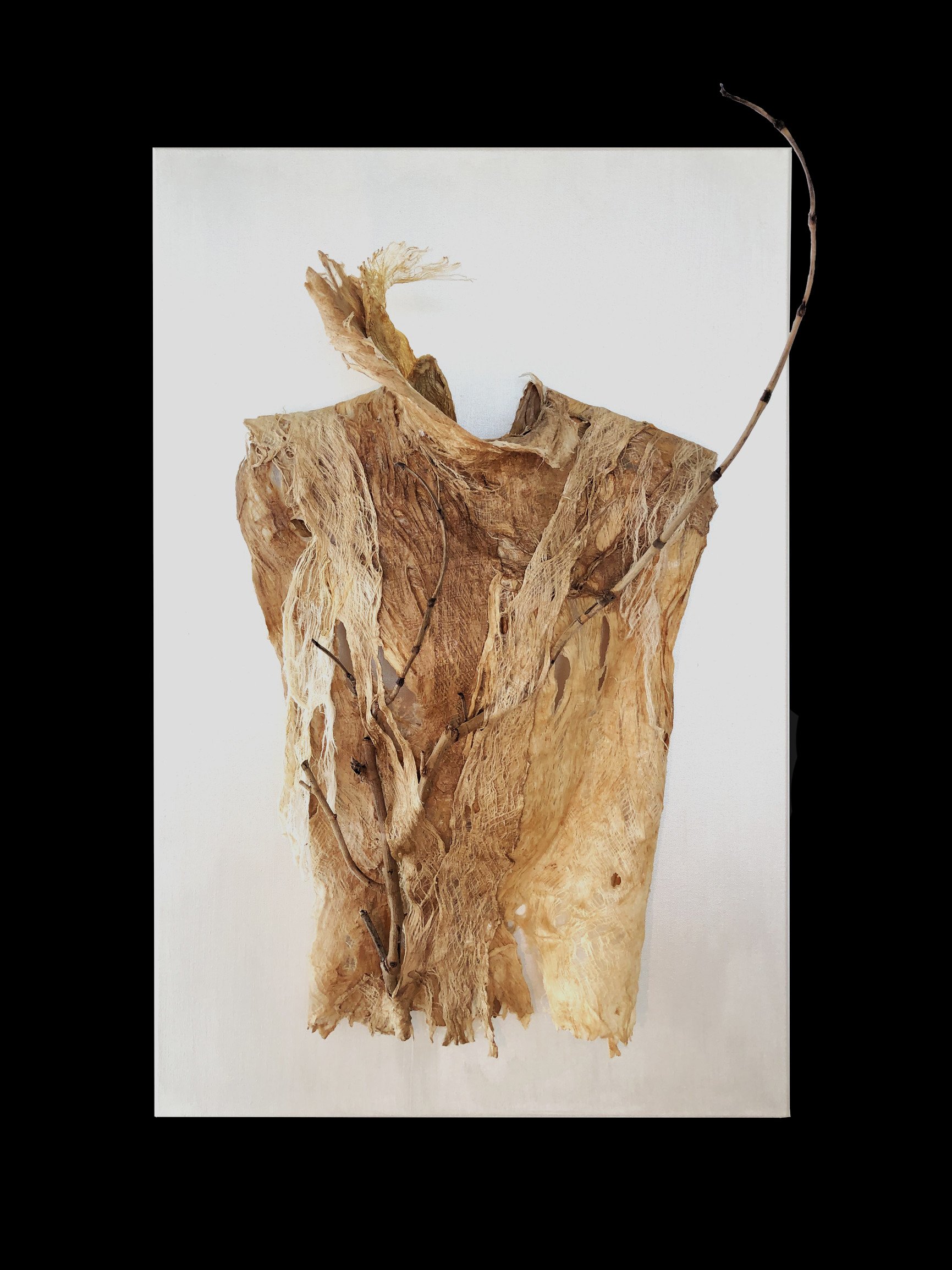 Frances Vye Wilson_Strength_2016_Cambium fiber from Asian mulberry tree and sea grape_40in x 20in x 17in (1).jpg