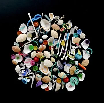 PLASTIC:NATURE:PLASTIC 2.jpeg