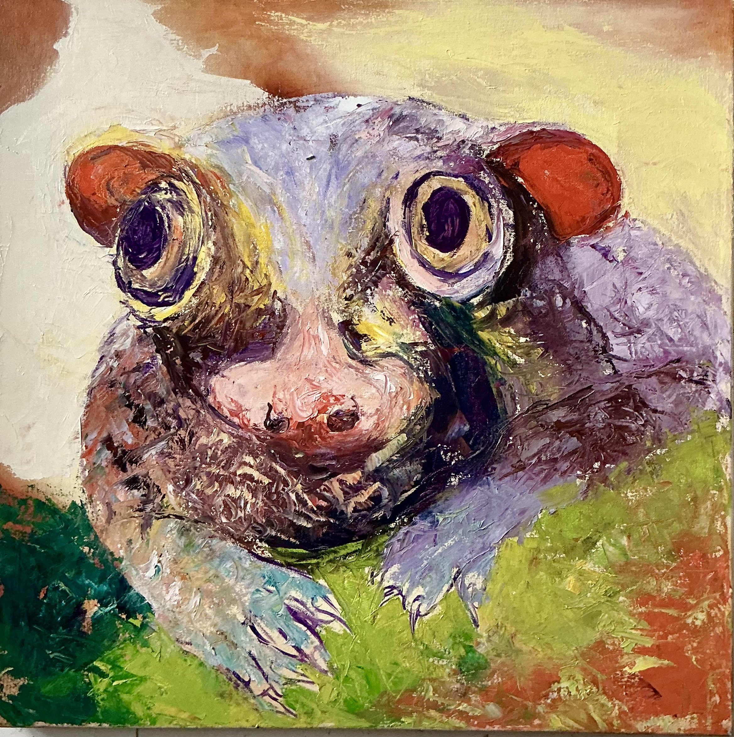 “Colugo” 2026 Oil on Canvas 26”X 26” $1,680.jpeg