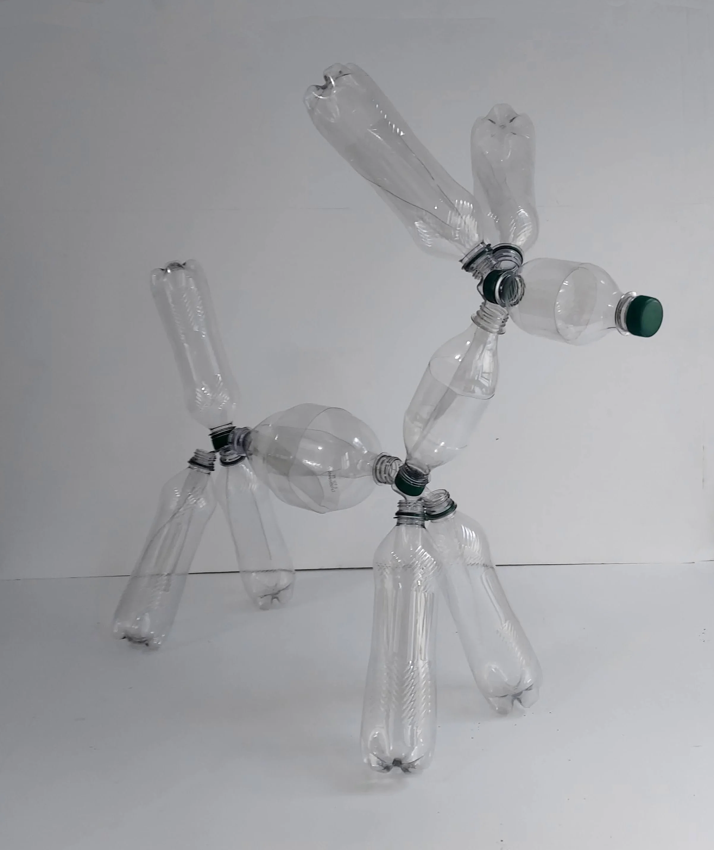 Barbara_Lubliner_Hydra_2026_PlasticBottles_24x25x10in.jpg