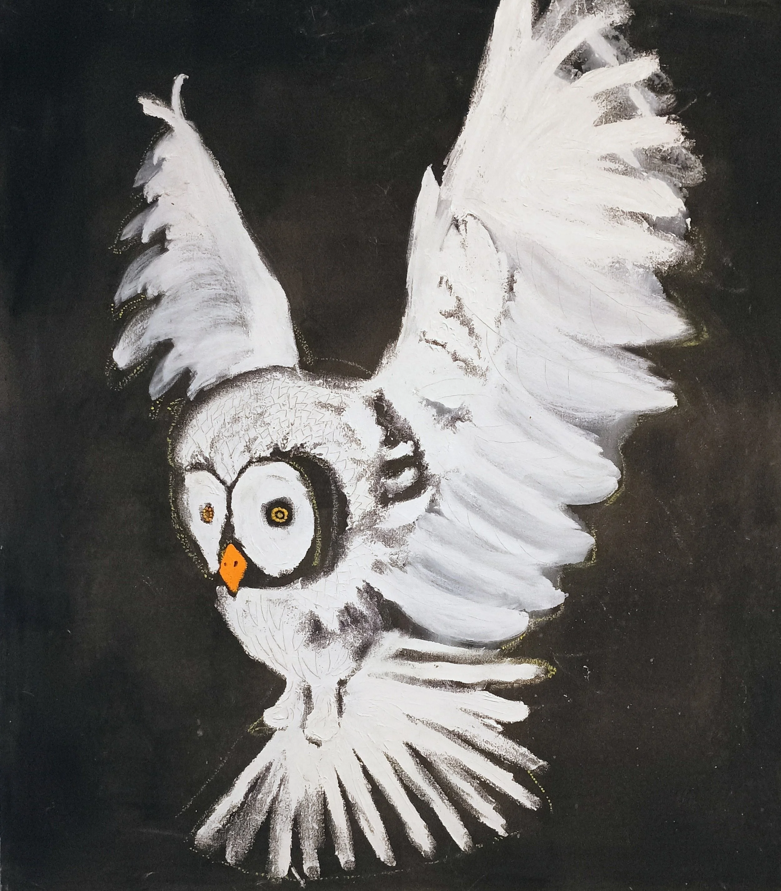 Doks_Owl_oil,chalk on canvas_34%22x30%22_$1200 .jpeg
