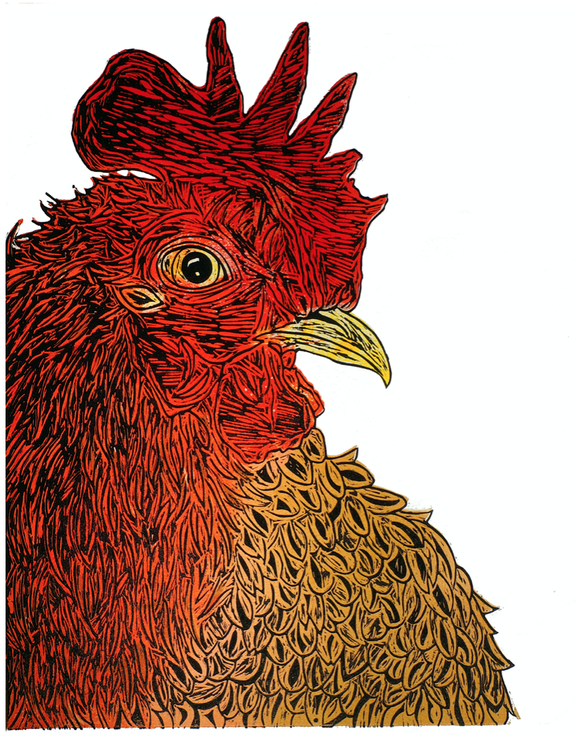 Mr(1).+Vincey's+Life+As+a+Rooster.png