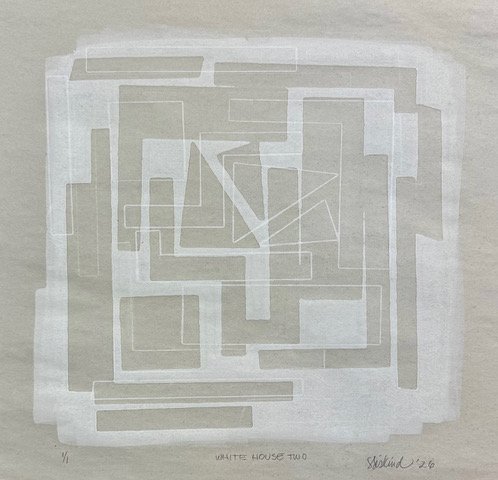 Siskind_White House Two.jpeg
