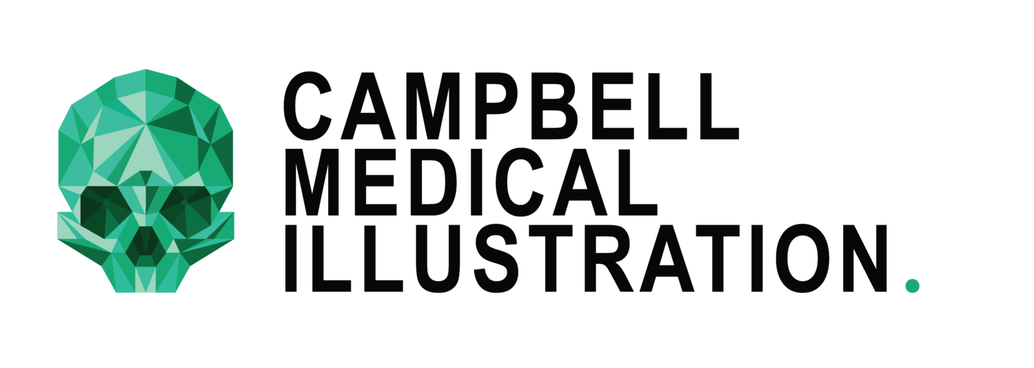 Campbell Medical Illustration