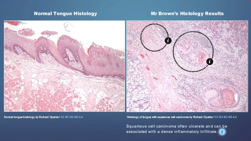 Medical_Interactive_Histology_Resources_v03.jpg