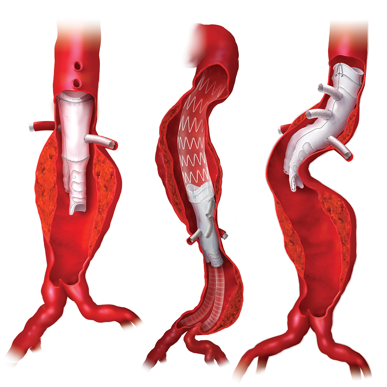 Professionalism_Poster_design_Annie_Campbell_Medical_Illustration_FINAL.png