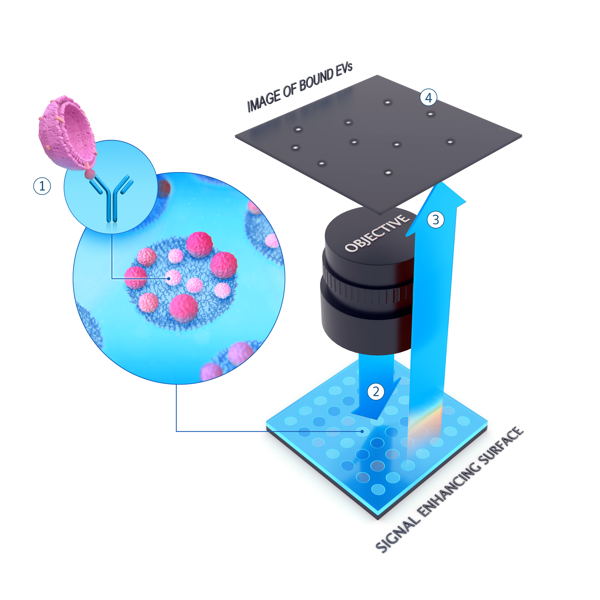 3D illustrations of how their techonology works