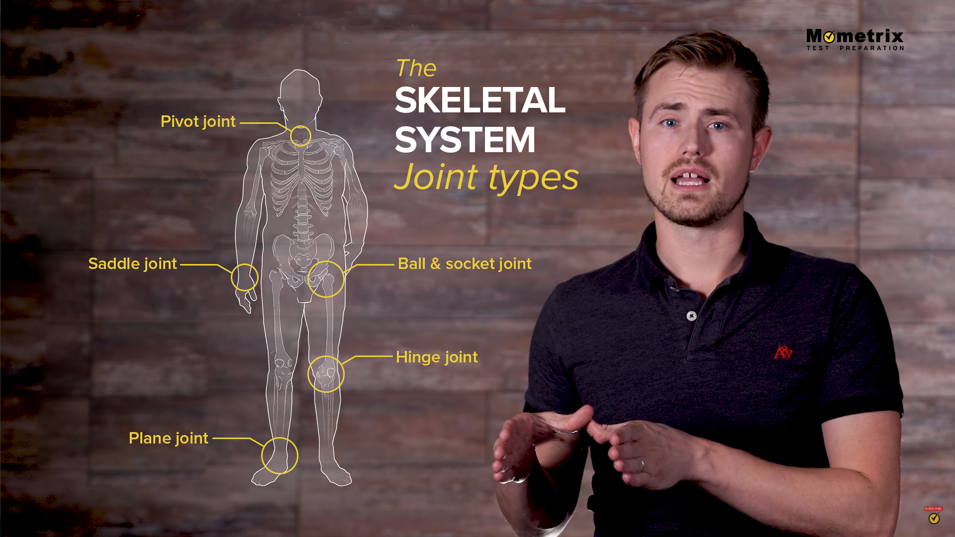 Medical illustration example 1.png