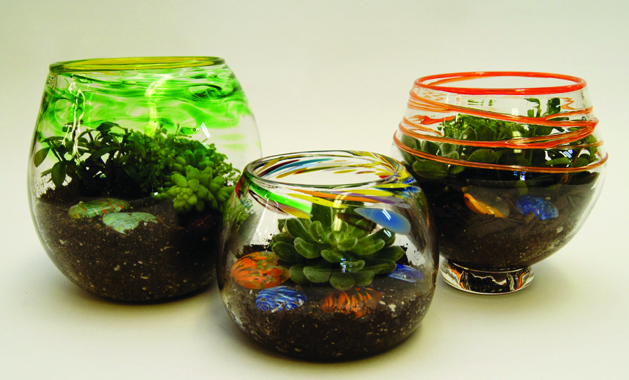 terrariums 14.jpg